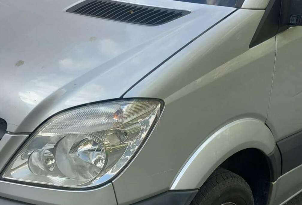 Mercedes-Benz 315 CDI 4x4 906.733