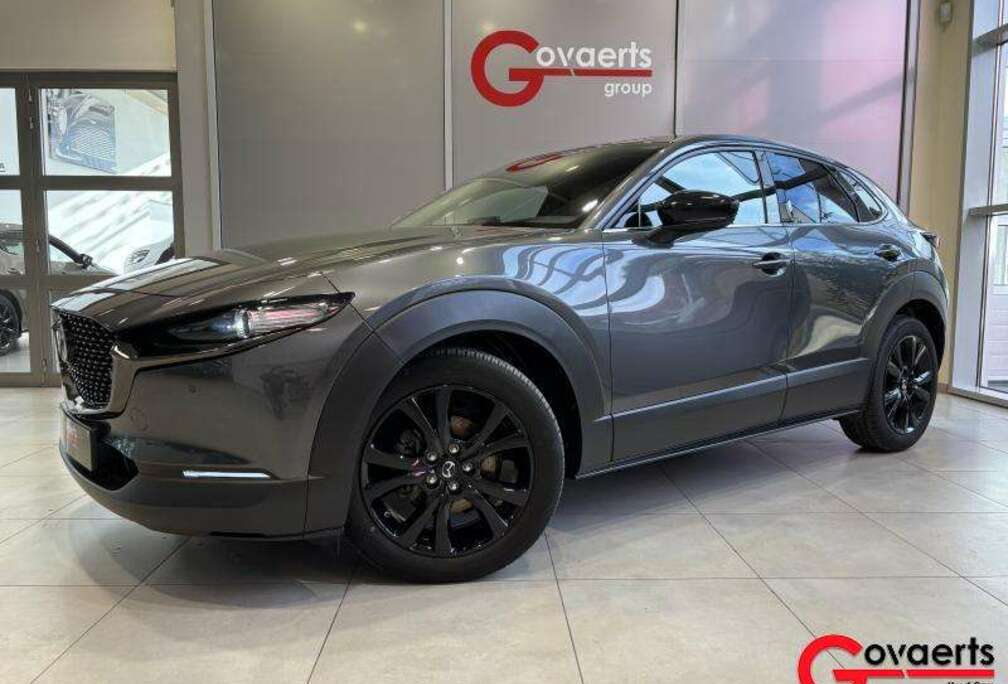 Mazda 2.0L e-Skyactiv X 186 hp 6AT Nagisa