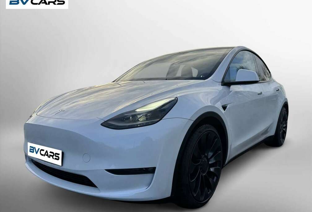 Tesla Performance Dual Motor AWD AHK/21\
