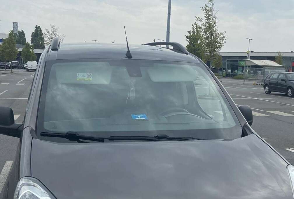 Peugeot Tepee 1.6 BlueHDi Style S&S