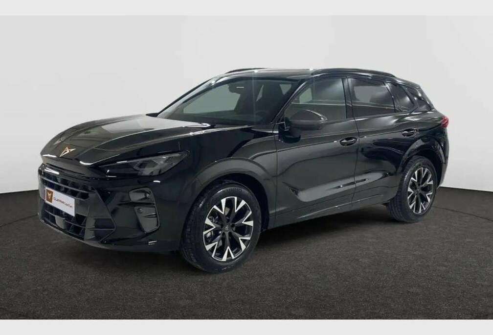 Terramar Business 1.5 eTSI 150ch (110kW) DSG 7v Mild Hybrid