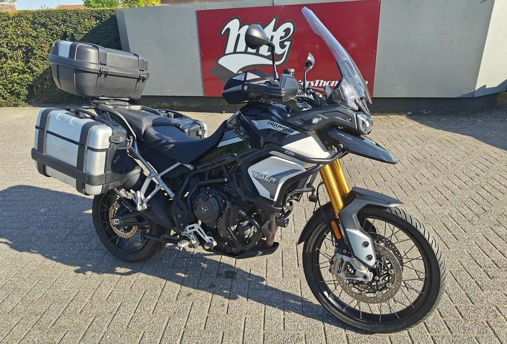 Triumph Rally