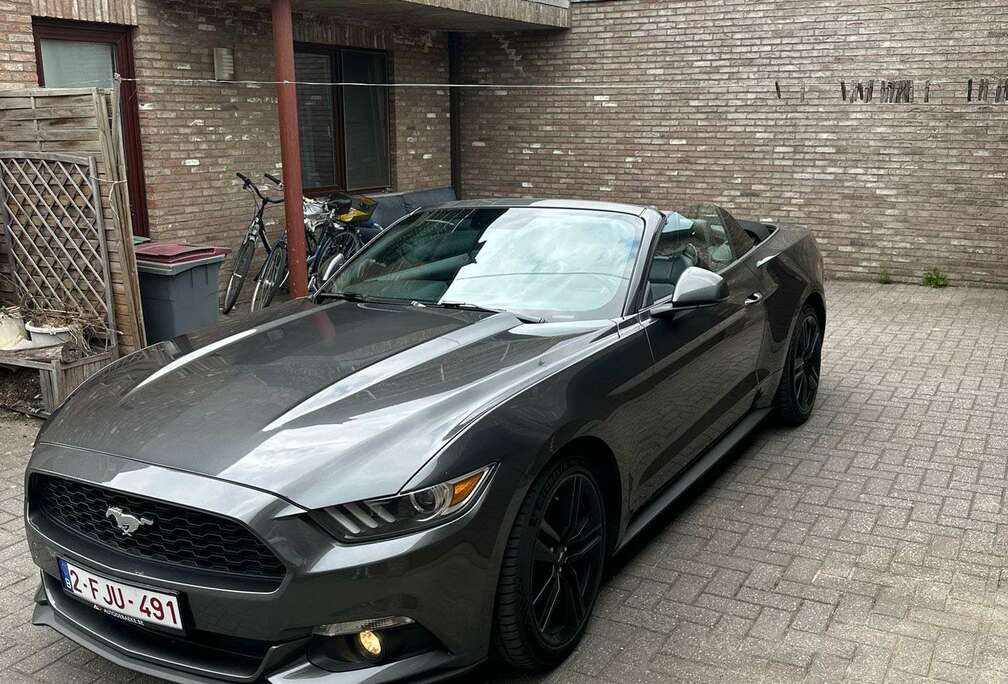 Ford Convertible 2.3 EcoBoost