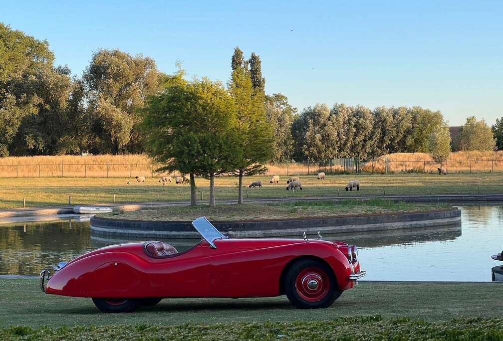Jaguar XK120 OTS