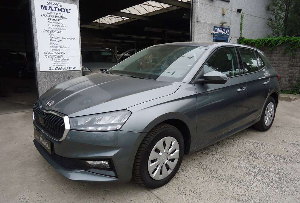 Skoda Fabia 1.0 TSI Family DSG Family