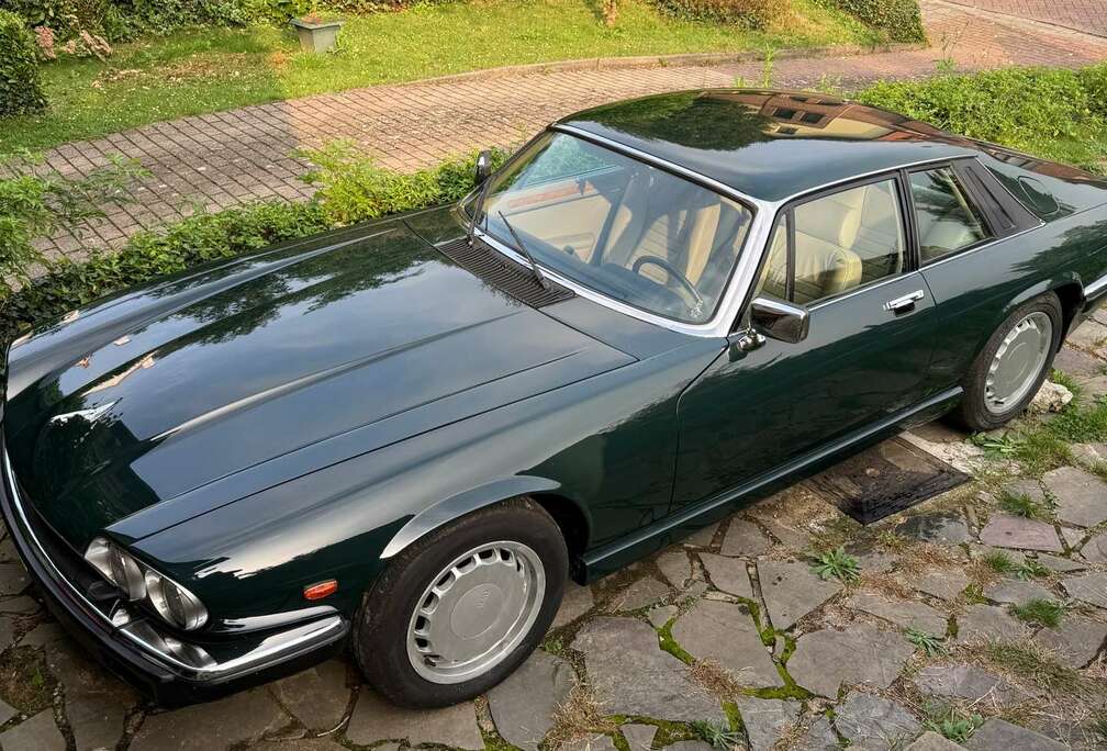 Jaguar 3.6