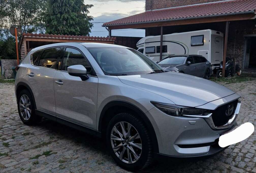 Mazda 2.2 SKYACTIV-D 2WD Skycruise (EU6d-TEMP)