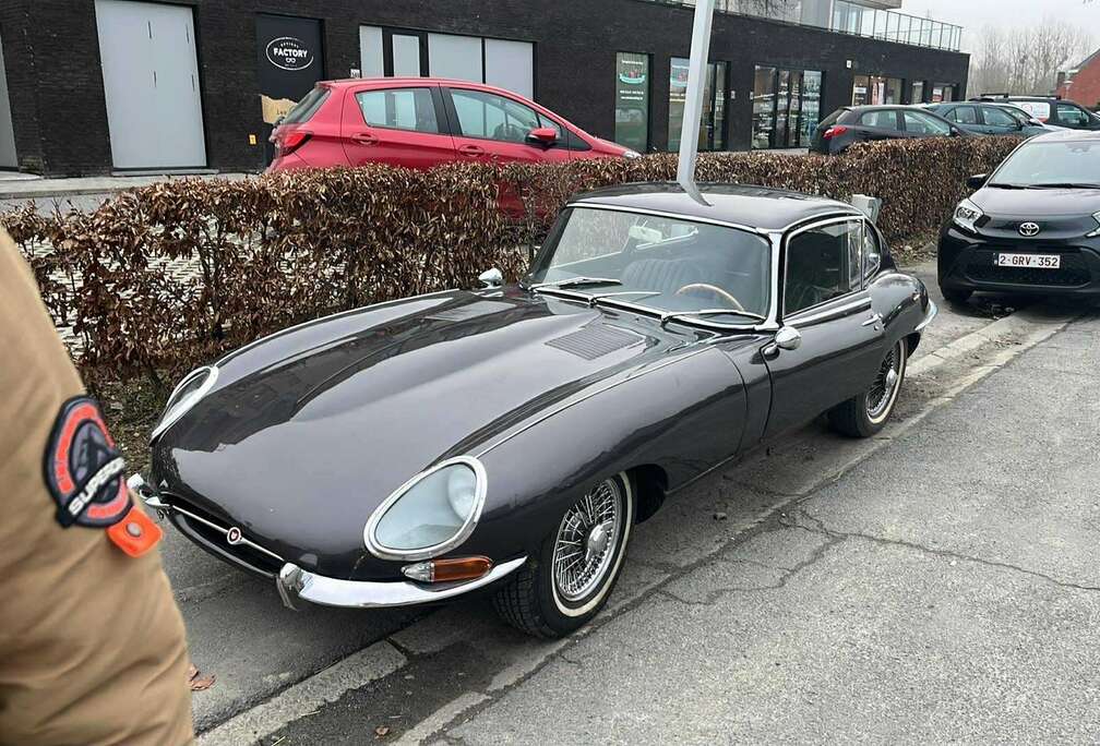 Jaguar
