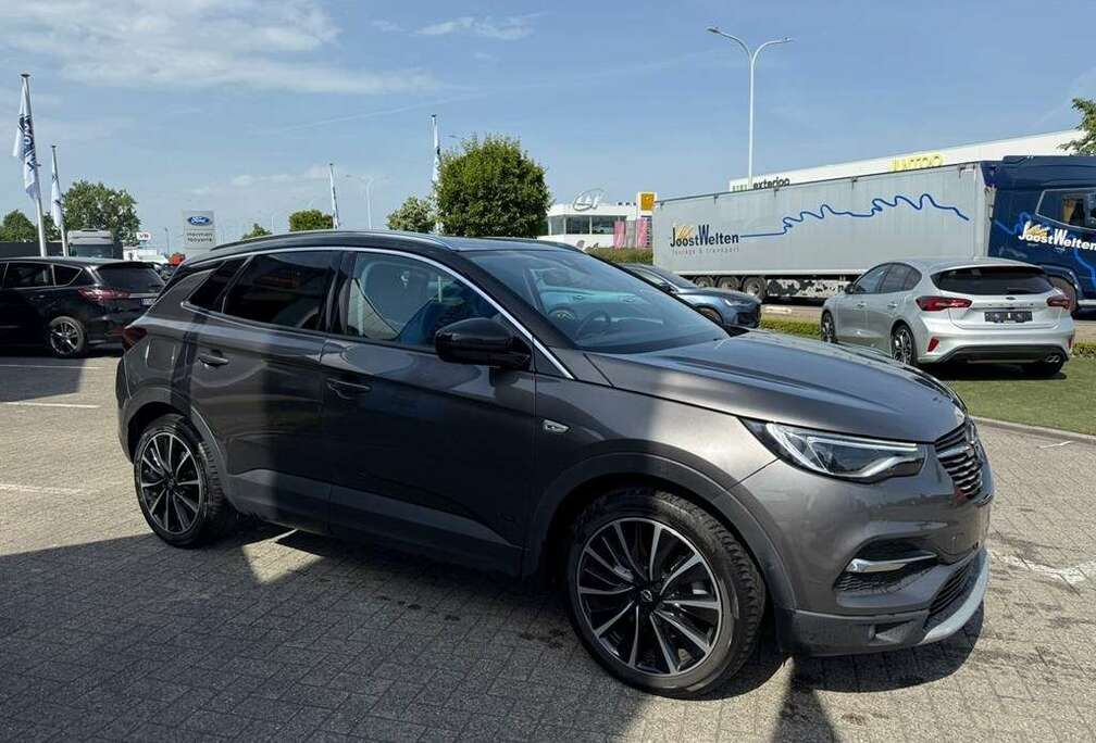 Opel Enkel voor professionele verkoop.