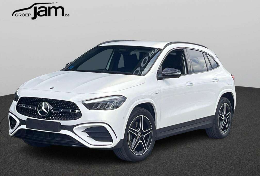 Mercedes-Benz e Business Solution AMG