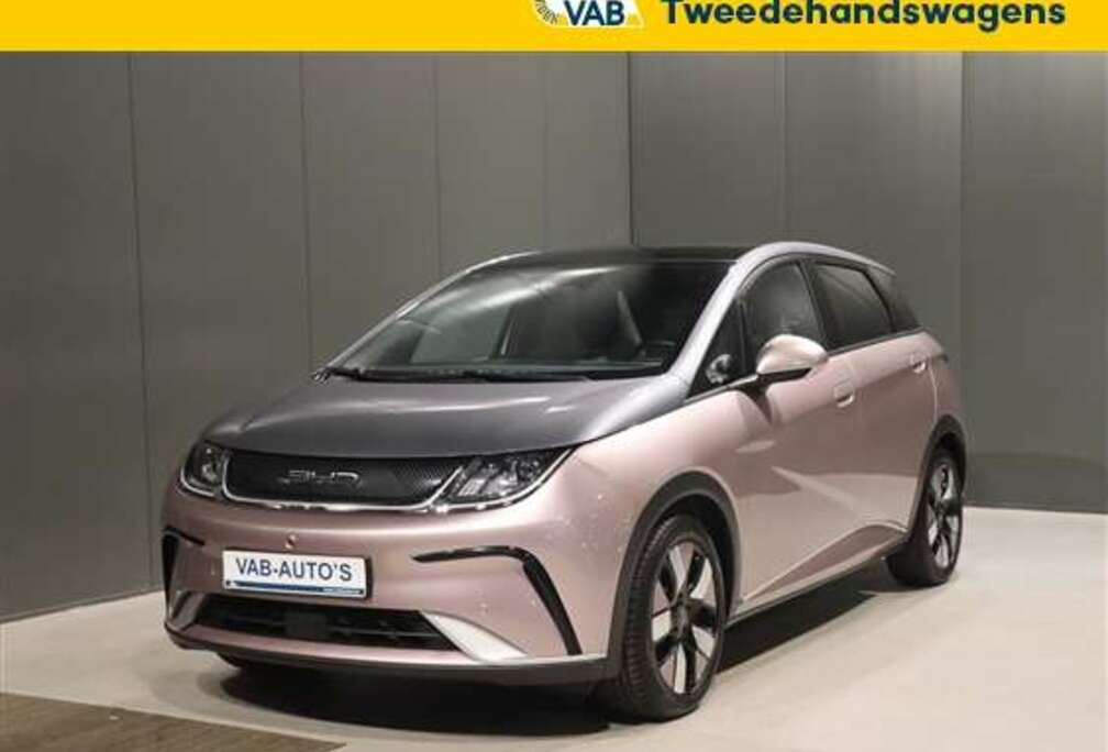 BYD 62 KWH DESIGN