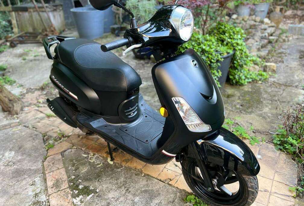 Fiddle II 50s