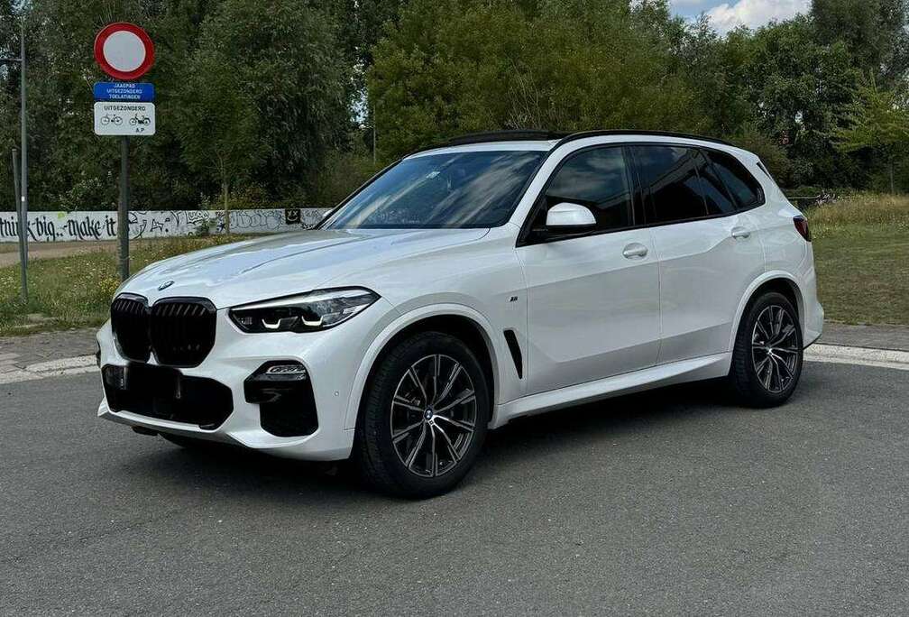 BMW X5 xDrive30d xLine