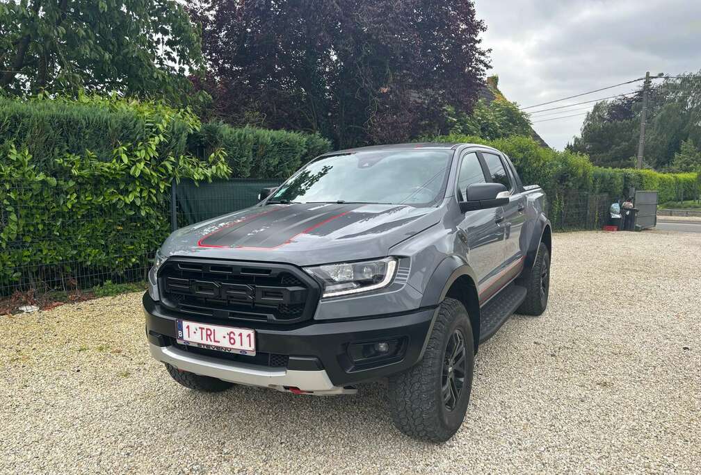 Ford 2.0 BiT EcoBlue Raptor (EU6.2)