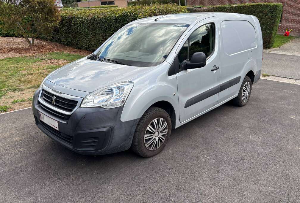 Peugeot L21.6 BlueHdi100