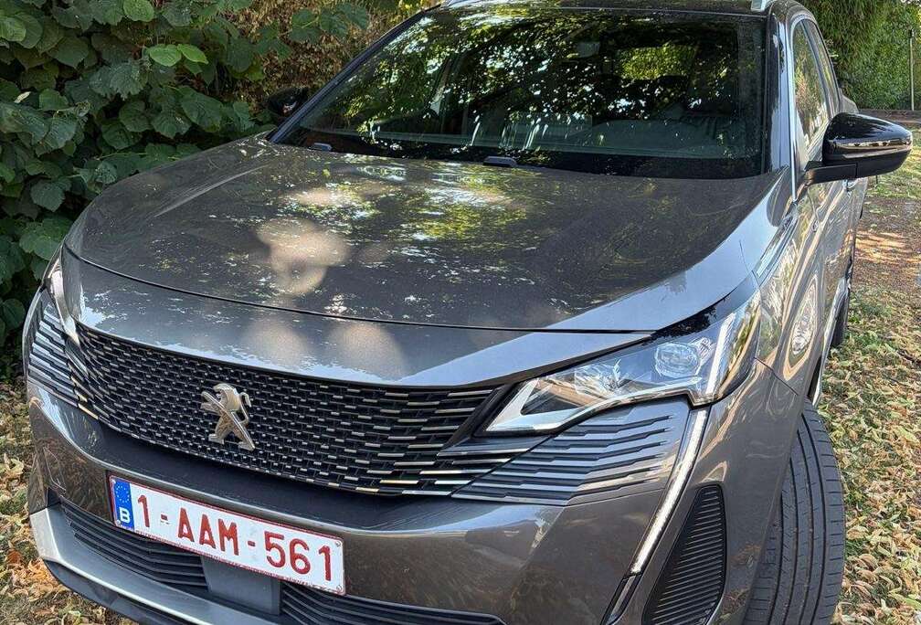 Peugeot 1.6i Premium