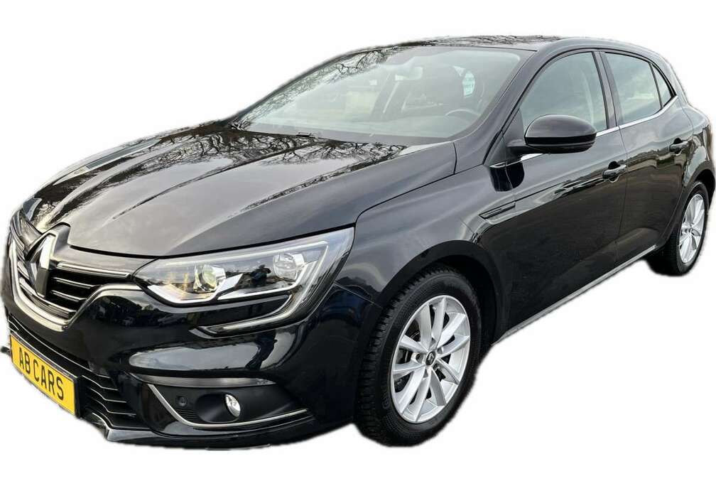 Renault 1.5 Blue dCi 116 Corporate Edition - Navi - Camera