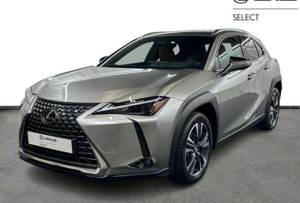 Lexus Executive Line