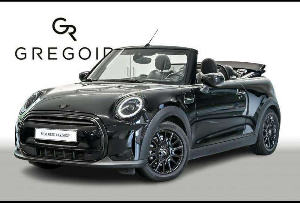 MINI Classic Trim
