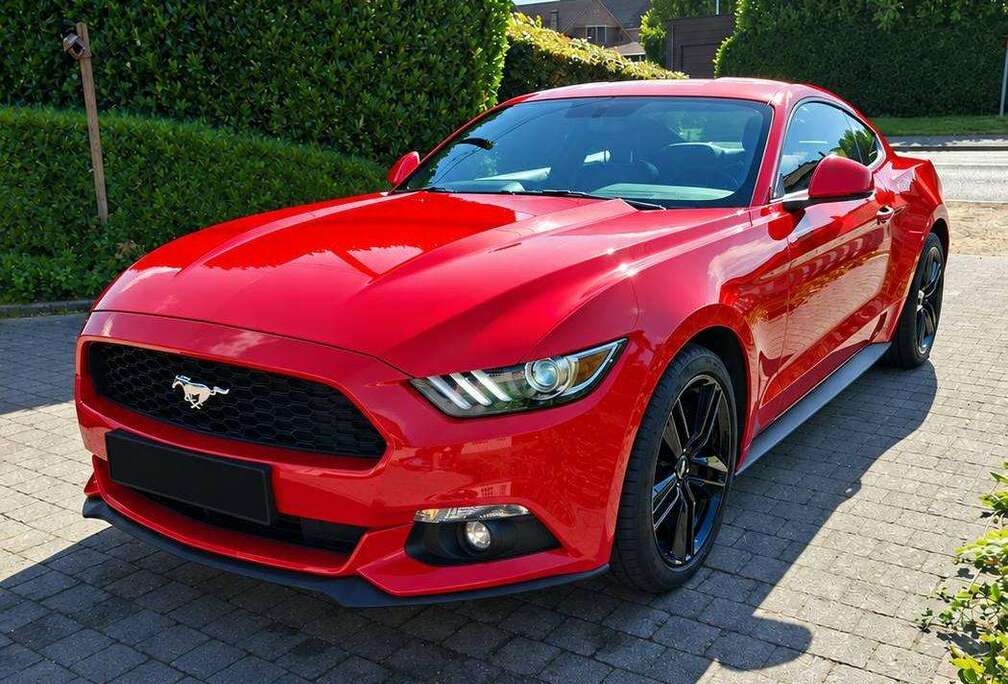 Ford Mustang 2.3 EcoBoost