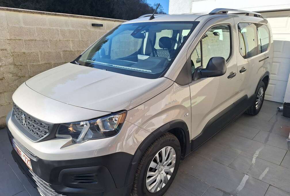 Peugeot 1.5 BlueHDi Long chassis