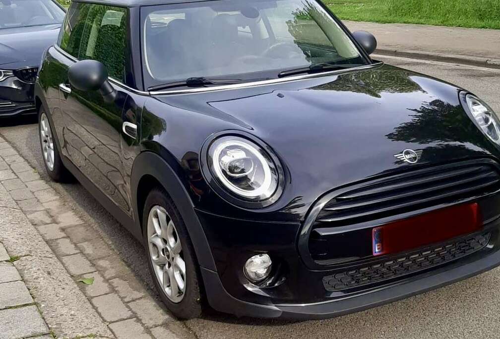 MINI Blackyard