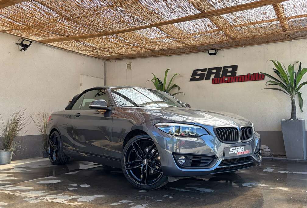BMW BMW 218i cabriolet