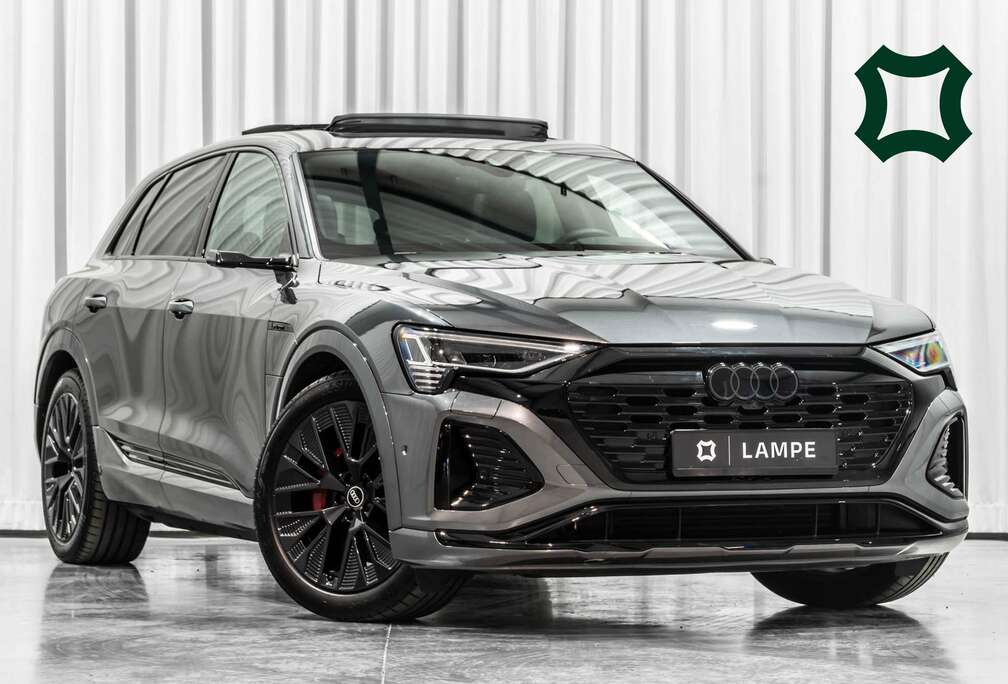 Audi 55 Quattro Competition Pano B&O SoftClose Trekhaak