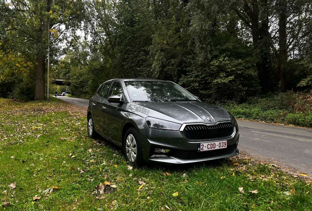 Skoda Fabia 1.0 TSI DSGSelection