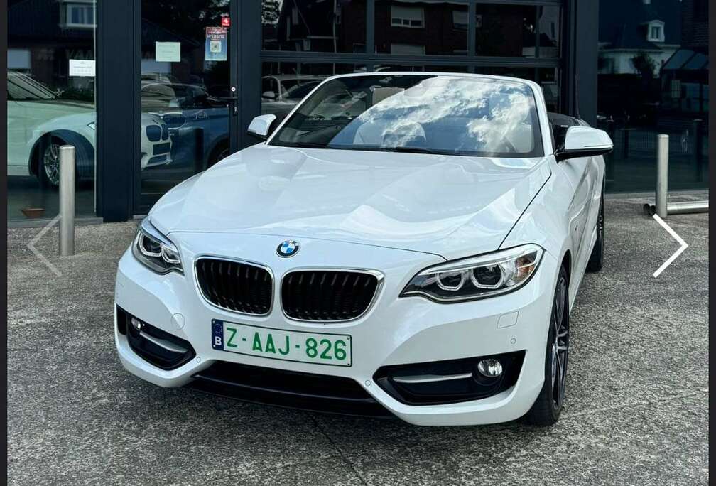 BMW 228i Cabrio Sport Line (12 maand garantie)