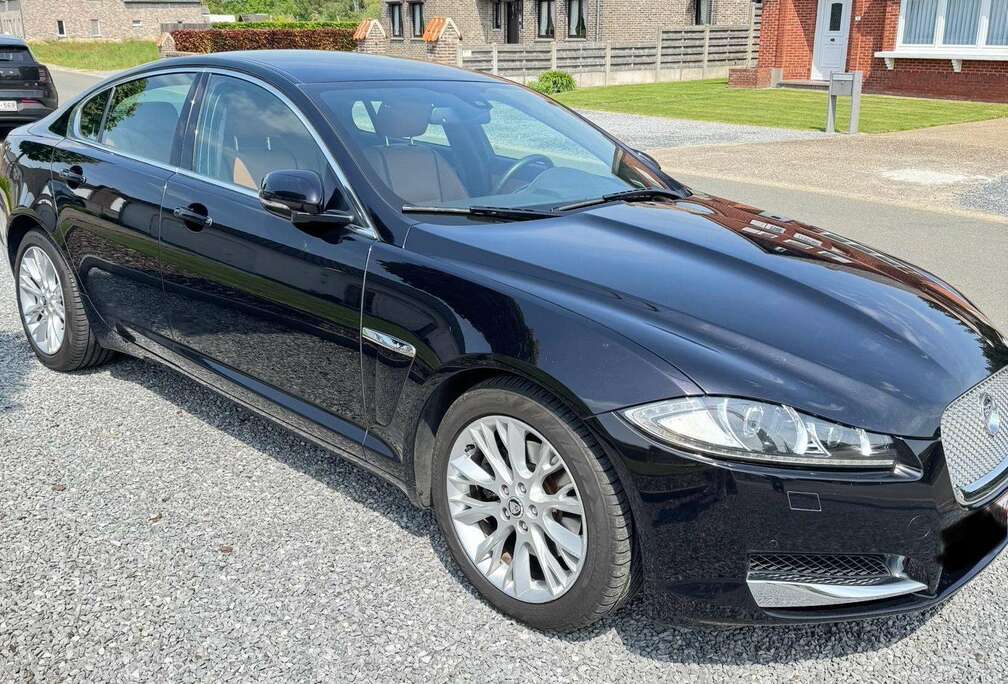 Jaguar