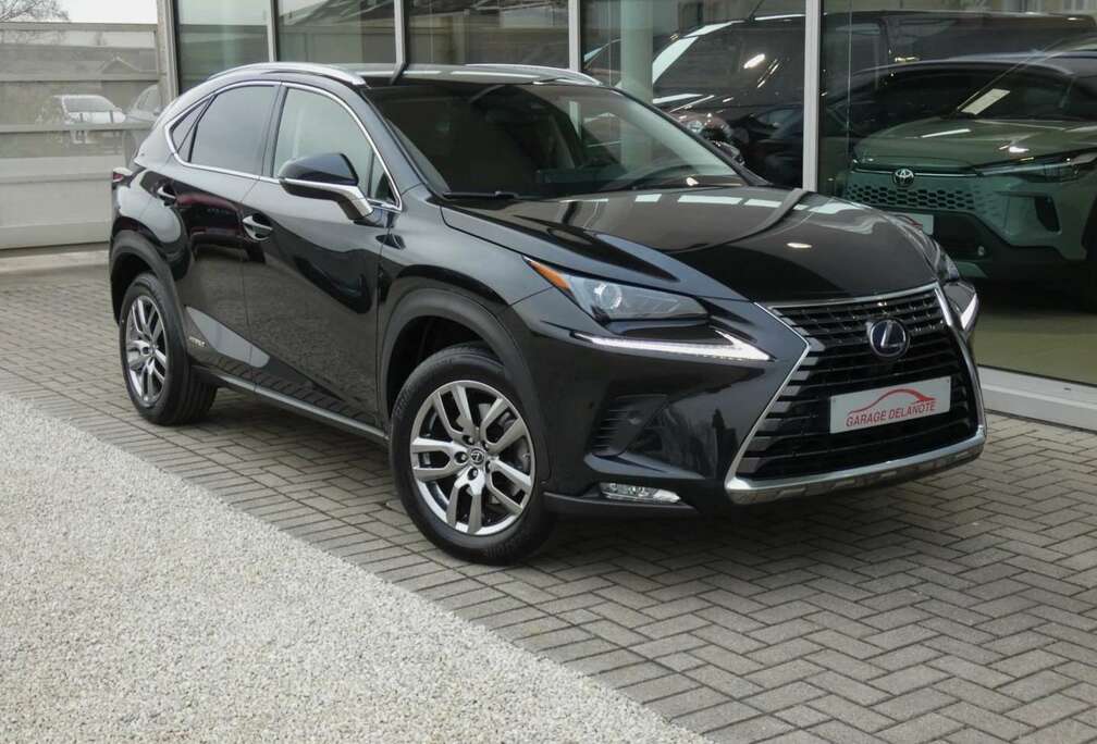 Lexus Hybrid AWD Executive Line +LEDER +TREKHAAK
