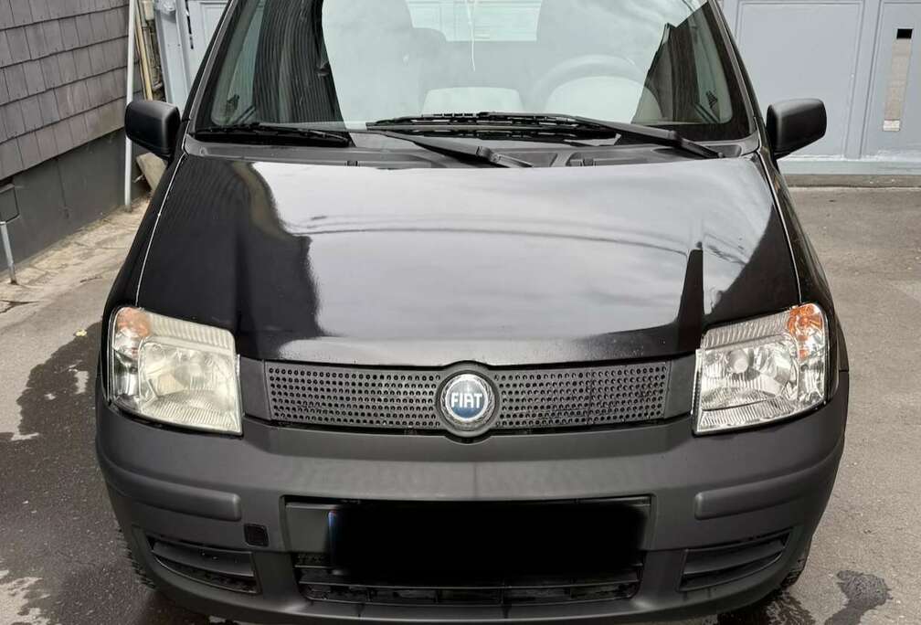 Fiat 1.2i Dynamic