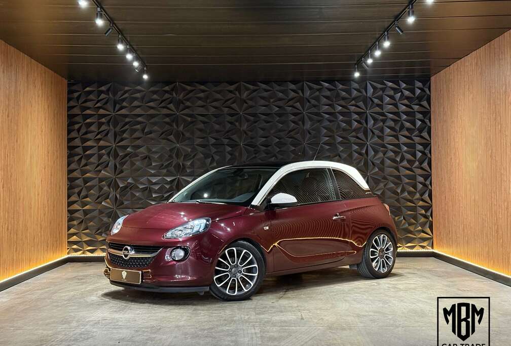 Opel 1.2i  12 Maanden GARANTIE  Pano  H.Leder  Cruise Control  Parkeersensoren