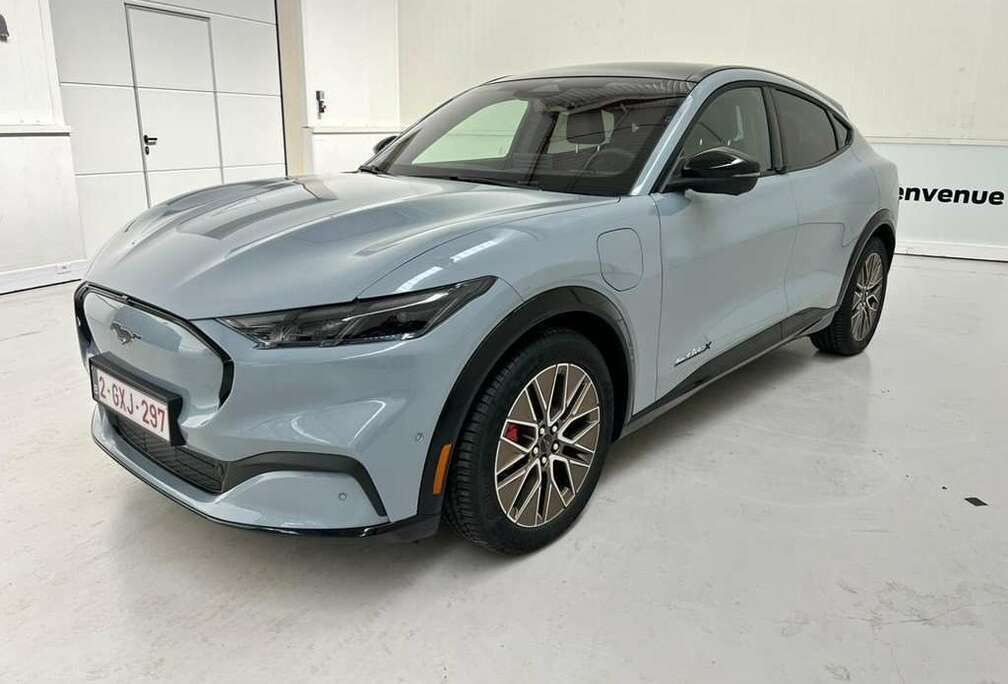 Ford * Mach E - RWD  - 91Kwh - 294pk *