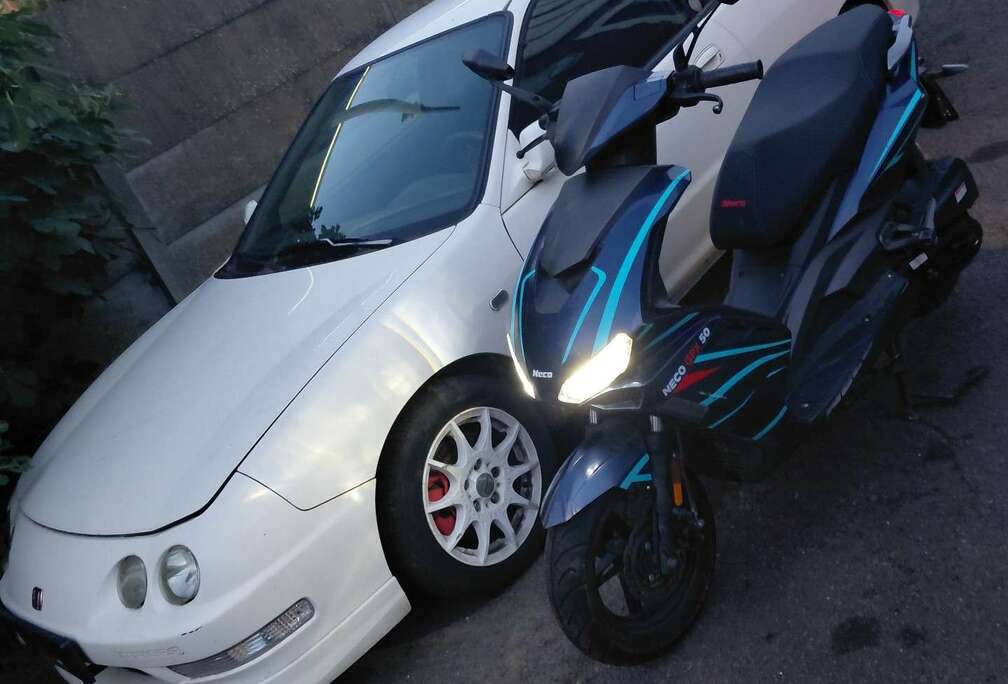GPX  50