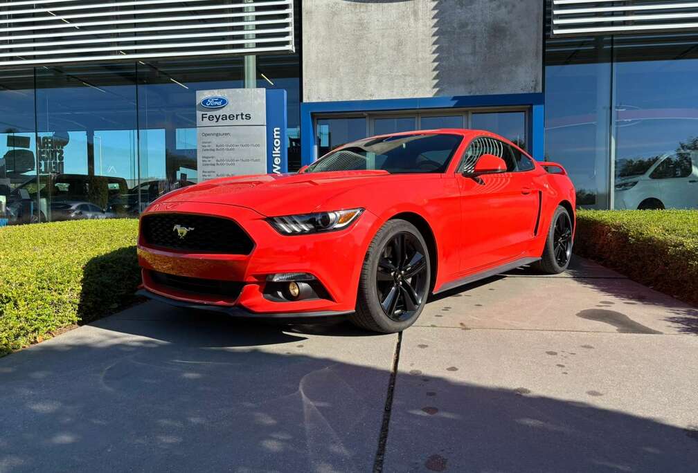 Ford 2.3 EcoBoost Manueel| Shaker | 61.239 km