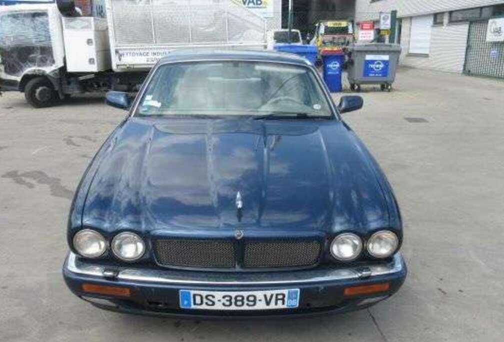 Jaguar