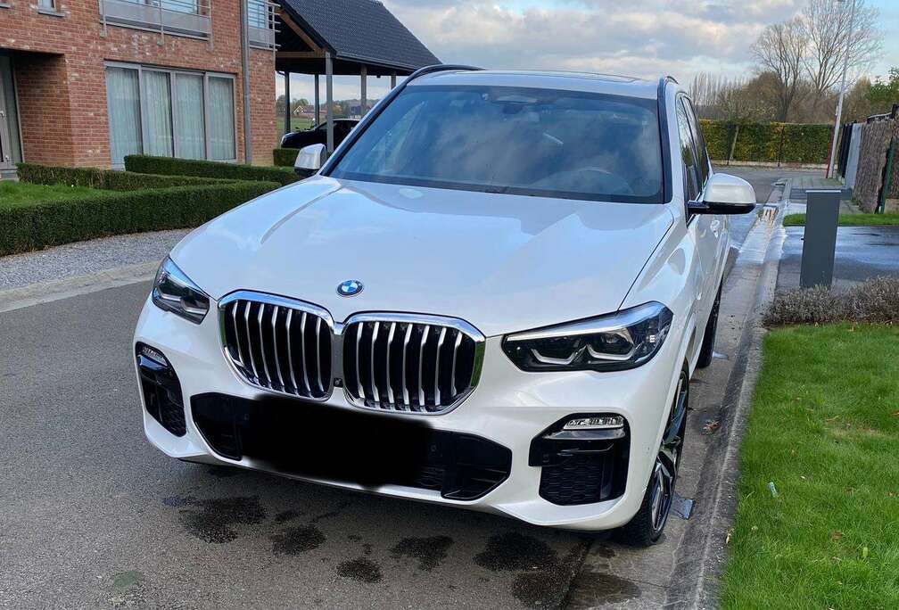 BMW X5+3.0+dAS+xDrive30+AdBlue