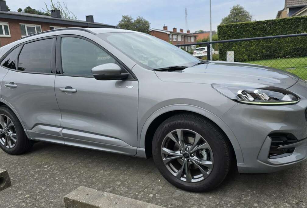 Ford 2.0 TDCi ST-Line / 2024 / 15500km / Automaat