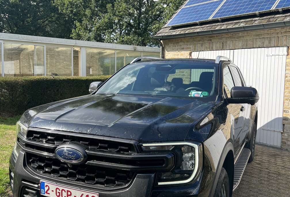 Ford 2.0 EcoBlue e-4WD Wildtrak