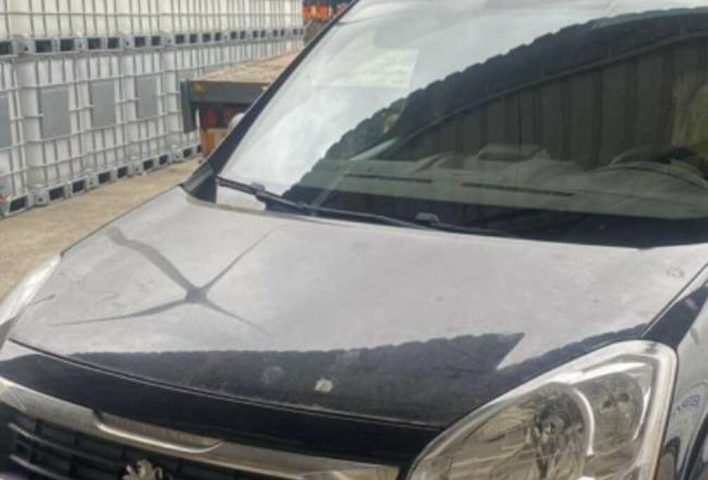 Peugeot 1.6 BlueHDi 75 L1 FAP Pro Avantage Plus