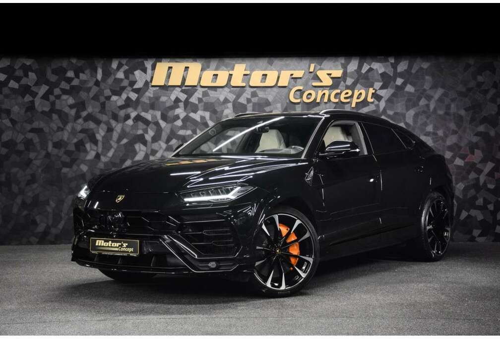 Lamborghini V8 - NERO HELENE / BIANCO POLAR