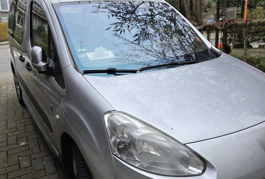 Peugeot 1.6 HDi L2H1 Confort 121 FAP (EU5)