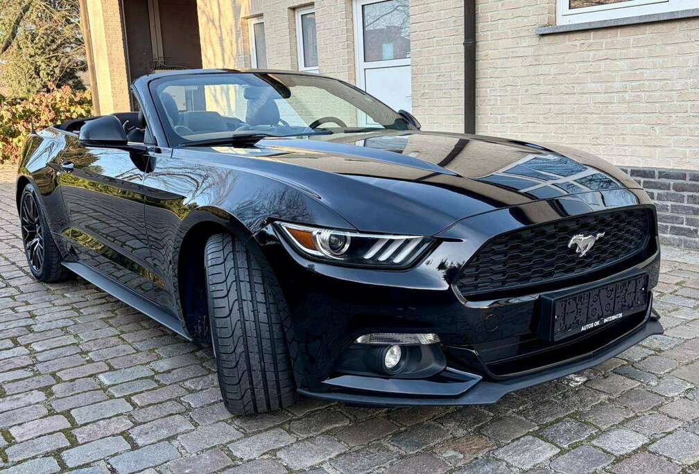 Ford Mustang Convertible 2.3 EcoBoost