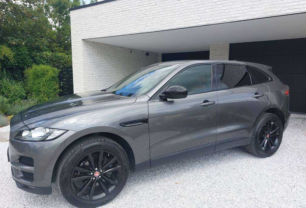 Jaguar