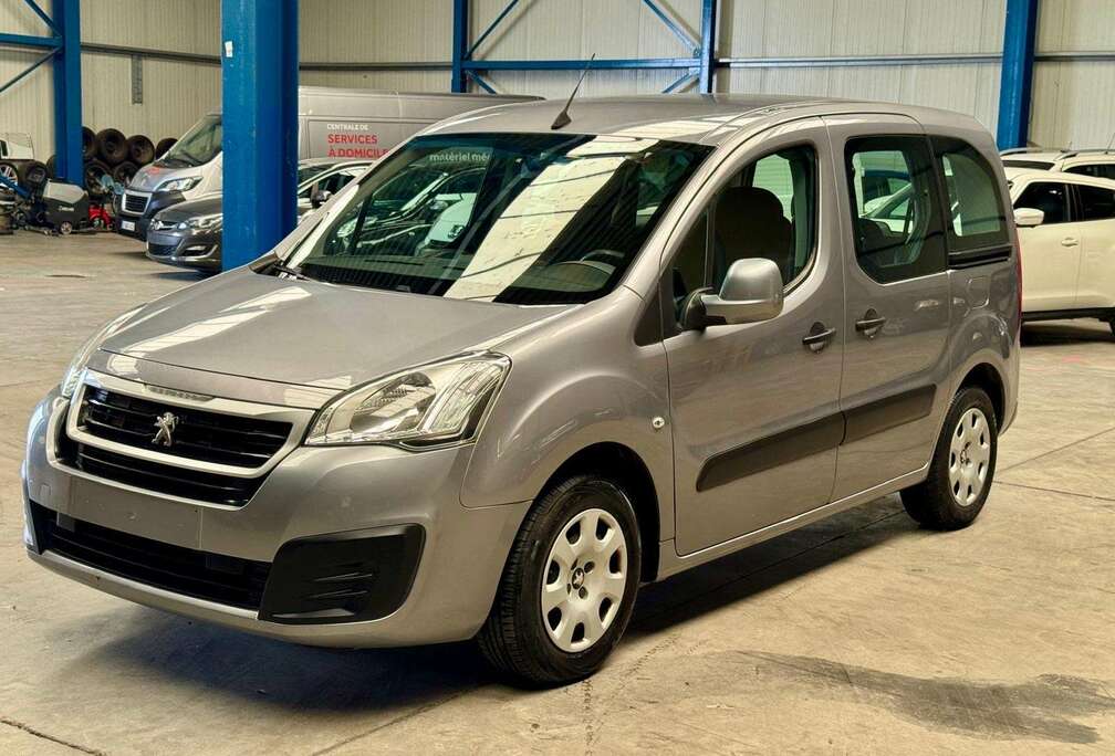 Peugeot Partner Tepee 1.6 BlueHDi Access