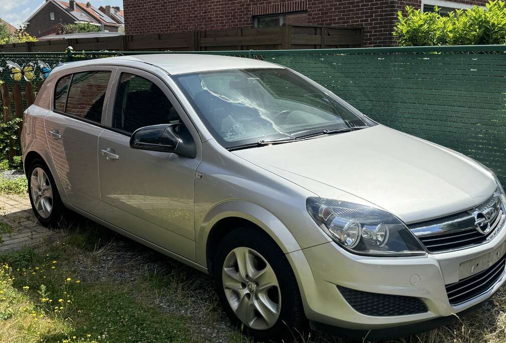Opel Zie Beschrijving