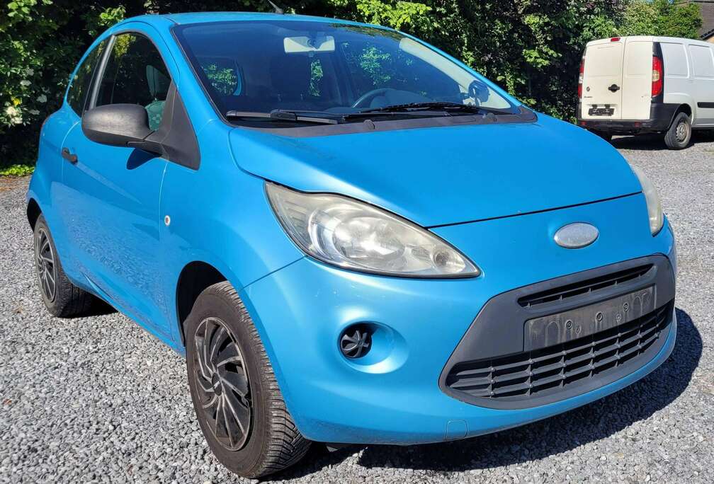 Ford 1.3i GEKEURD ROOS FORMULIER 2010