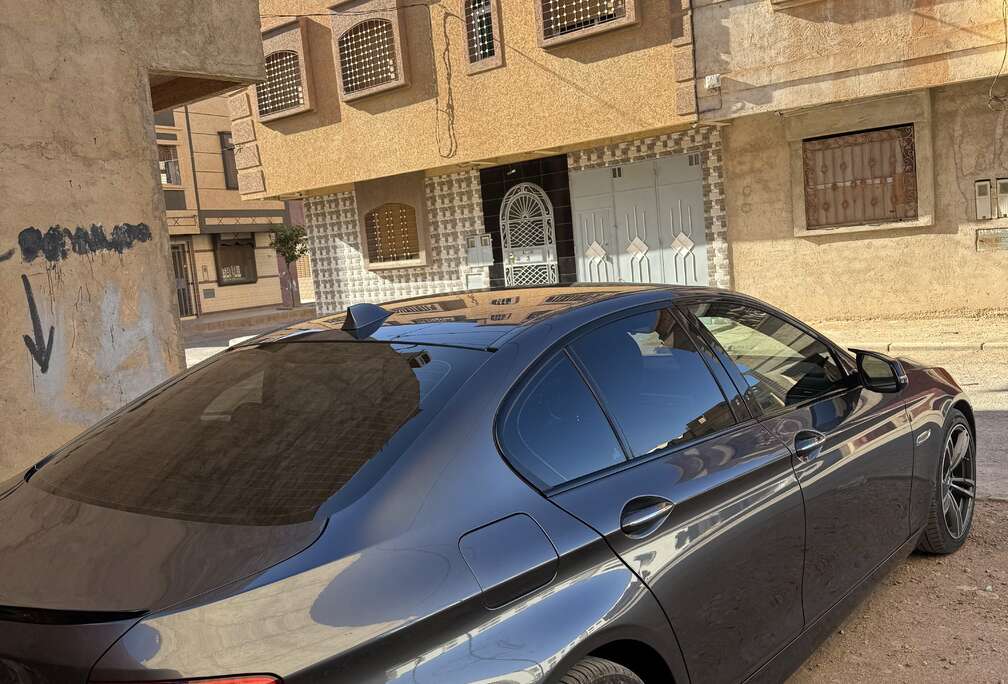 BMW Bmw serie 5 520D